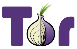 Tor_project_logo_hq-300x190.png